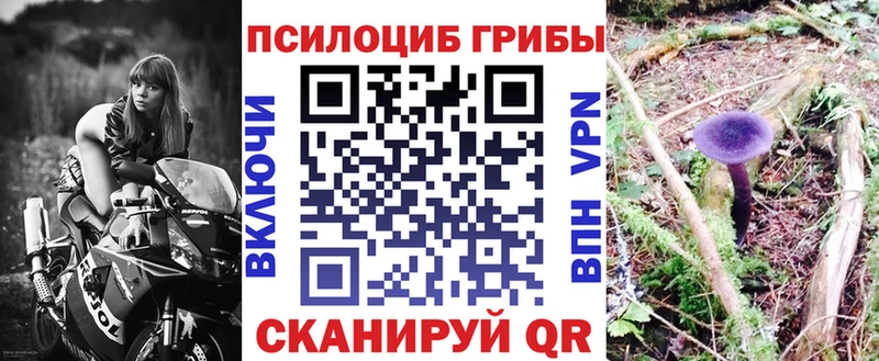 Галлюциногенные грибы мухоморы  закладки  Гагарин 