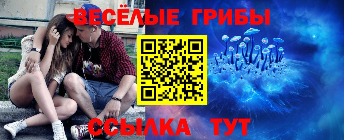 Псилоцибиновые грибы Psilocybine cubensis  Вход с VPN  Гагарин 
