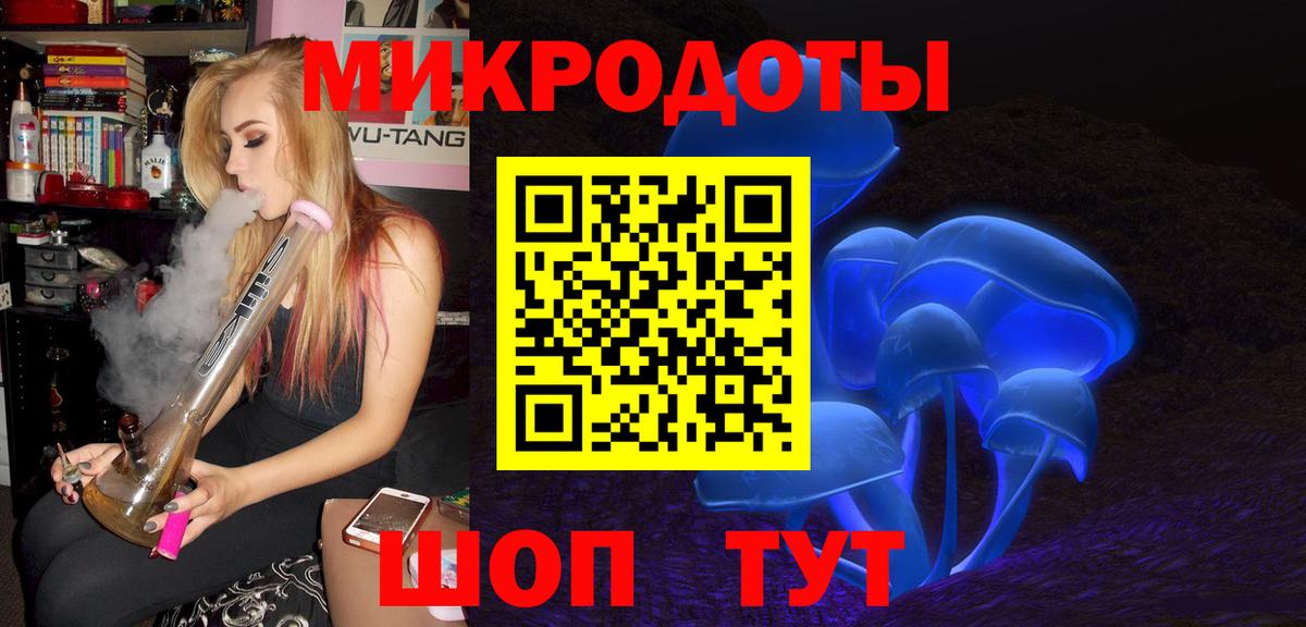 МЕФ Гагарин